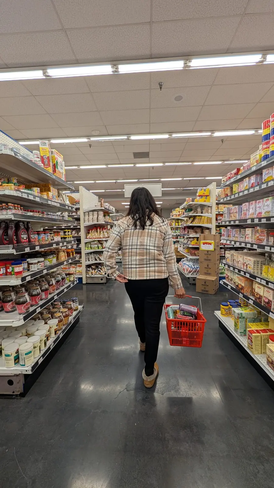 A shopper walking the aisle with a red basket